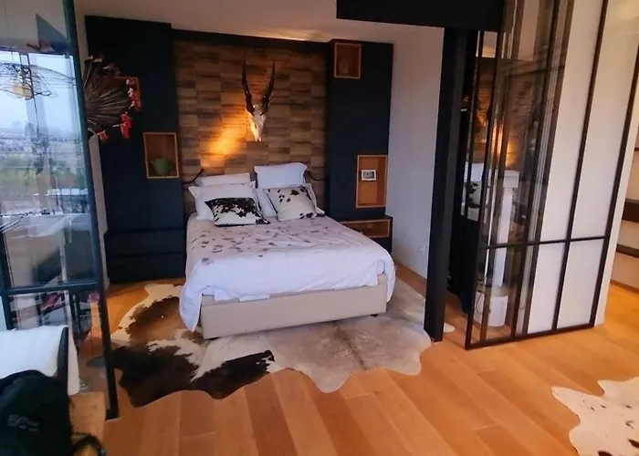 Appartement Vue Tour Eiffel Paris 16 Eme